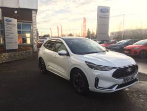 FORD KUGA 2024 (24) at Glenford Forfar